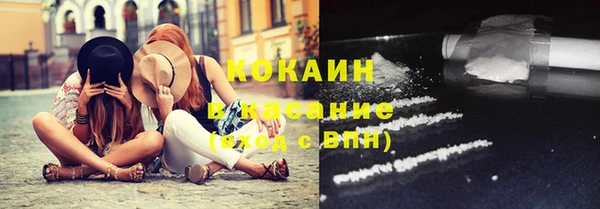 дживик Абаза