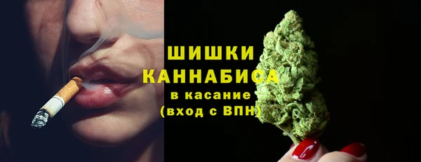 дживик Абаза