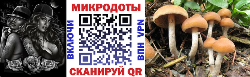 Галлюциногенные грибы MAGIC MUSHROOMS  где найти наркотики  Челябинск 